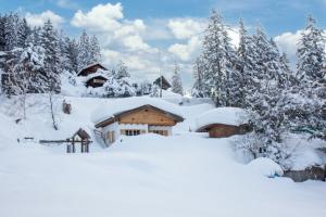 Chalet Friedenalm am Pillberg Chalet Pillberg