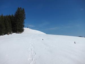 Haschbachhtte bei Leoben Htte Leoben